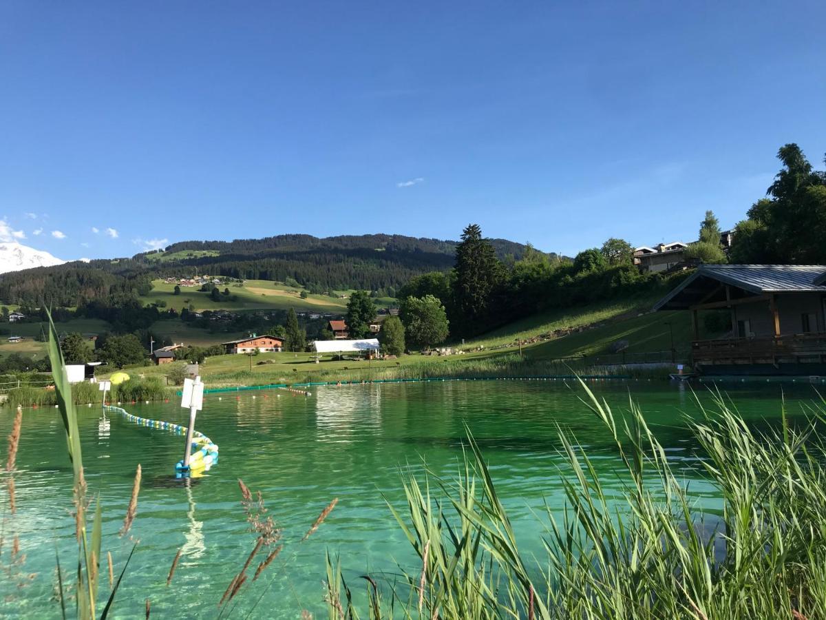 Appartamento Nid Douillet à la Louvée Combloux Esterno foto